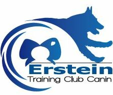 Training Club Canin d'Erstein