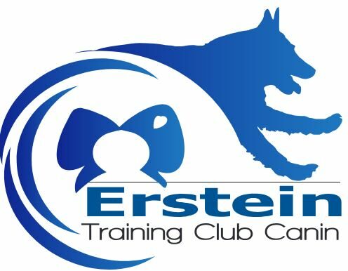 Training Club Canin d'Erstein